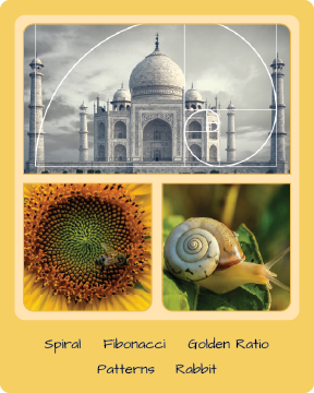 Card 01